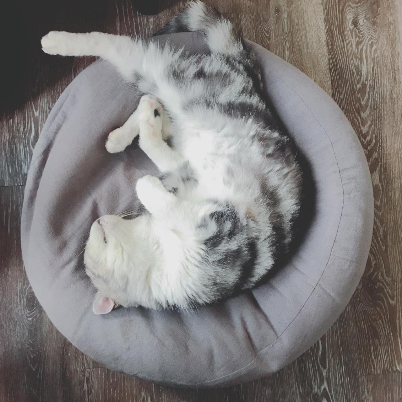 A Fat At Home 타이난 외부 사진